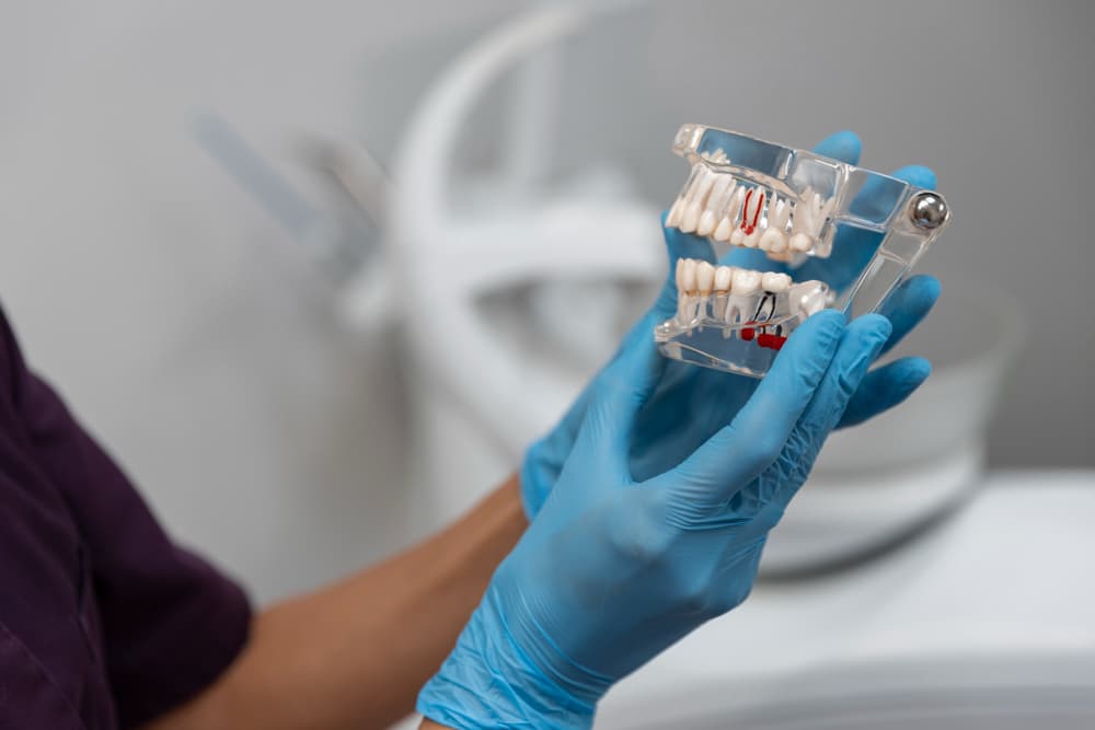 Diagnostic Equipment